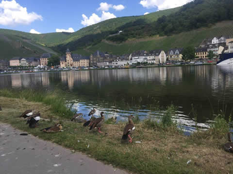 Bernkastel photo